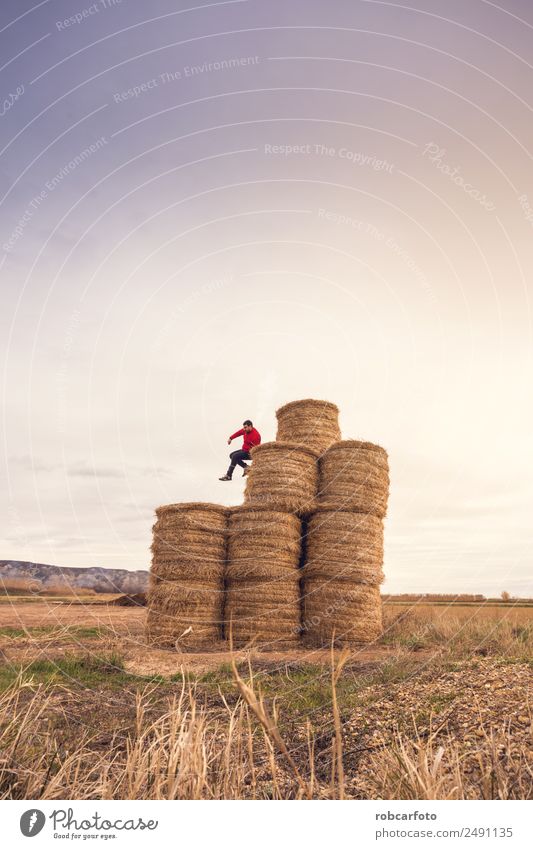 Mann über Strohballen Freude Glück Spielen Sommer Sonne Mensch Erwachsene Natur Landschaft Himmel Gras Wiese springen natürlich gelb gold Feld Heu jung ländlich