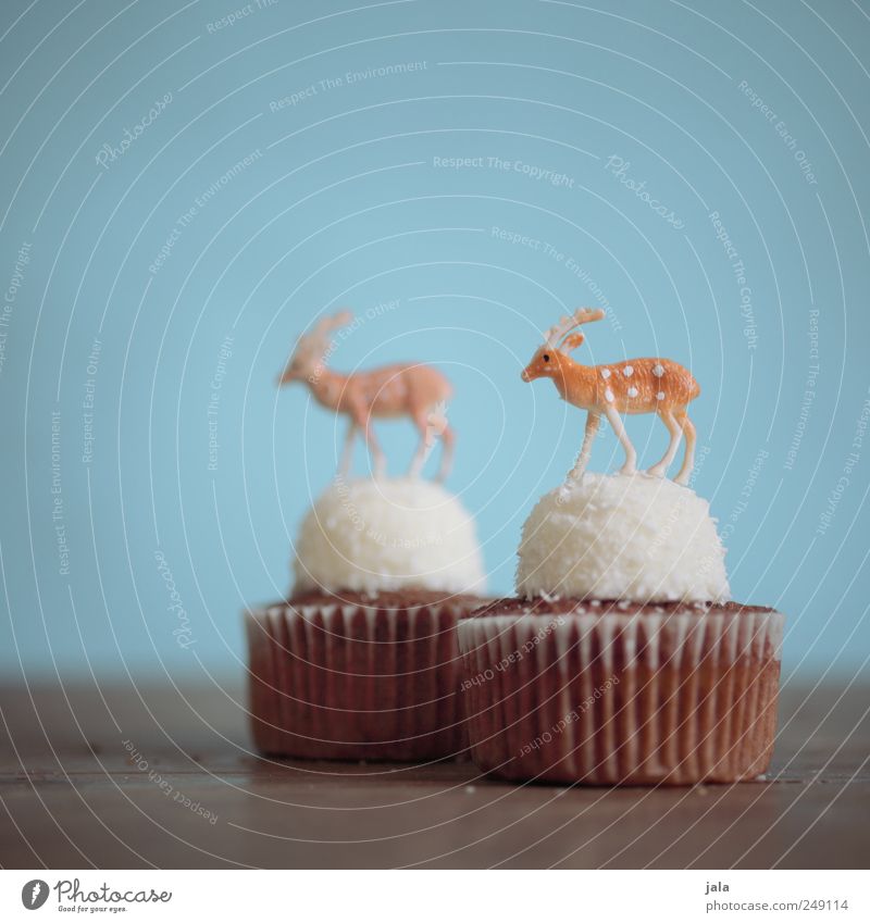 sweet deer Lebensmittel Teigwaren Backwaren Kuchen Süßwaren Muffin Ernährung Kaffeetrinken Fingerfood Hirsche 2 Tier Dekoration & Verzierung Kitsch Krimskrams