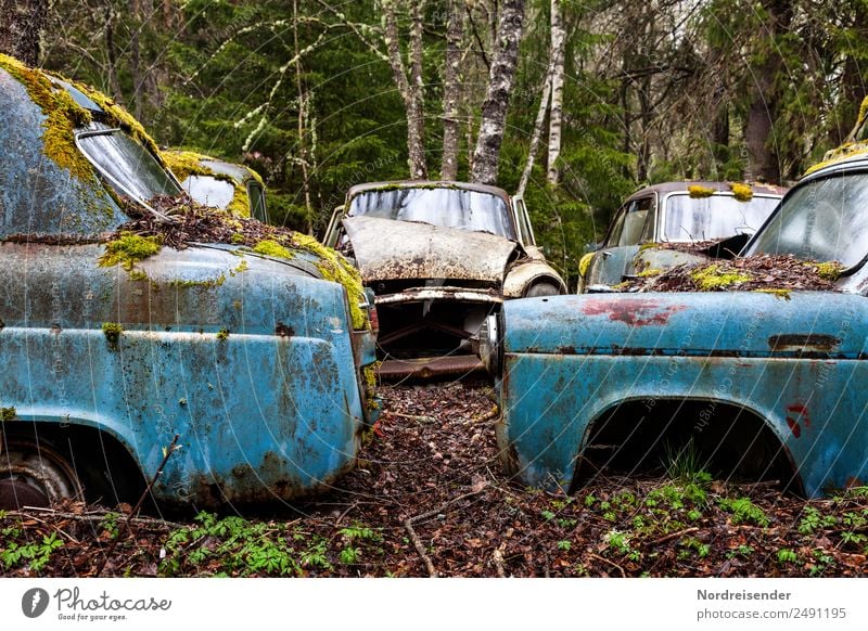 Dauerparker Wirtschaft Zeitmaschine Technik & Technologie Natur Regen Wald Verkehr Verkehrsmittel Personenverkehr Autofahren Fahrzeug PKW Oldtimer Metall alt