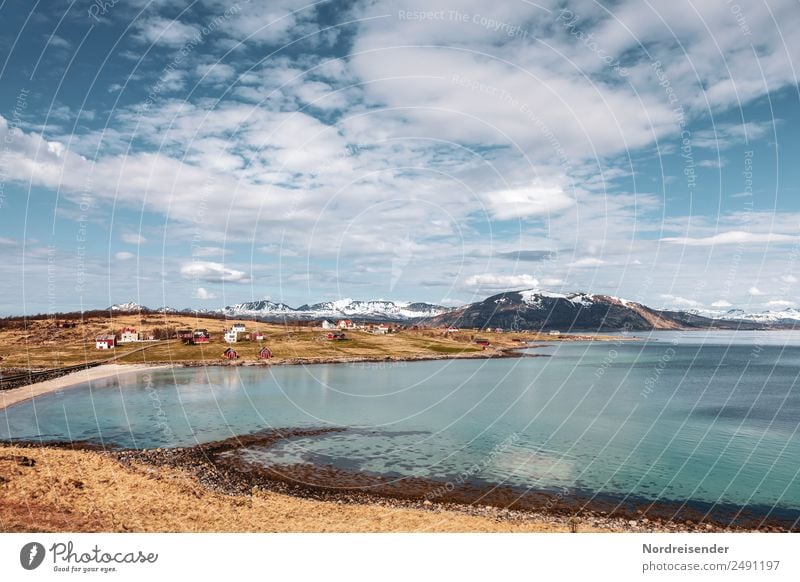 Wohnen am Meer Ferien & Urlaub & Reisen Tourismus Sommer Strand Natur Landschaft Küste Bucht Fjord Dorf Fischerdorf Architektur Häusliches Leben Freundlichkeit