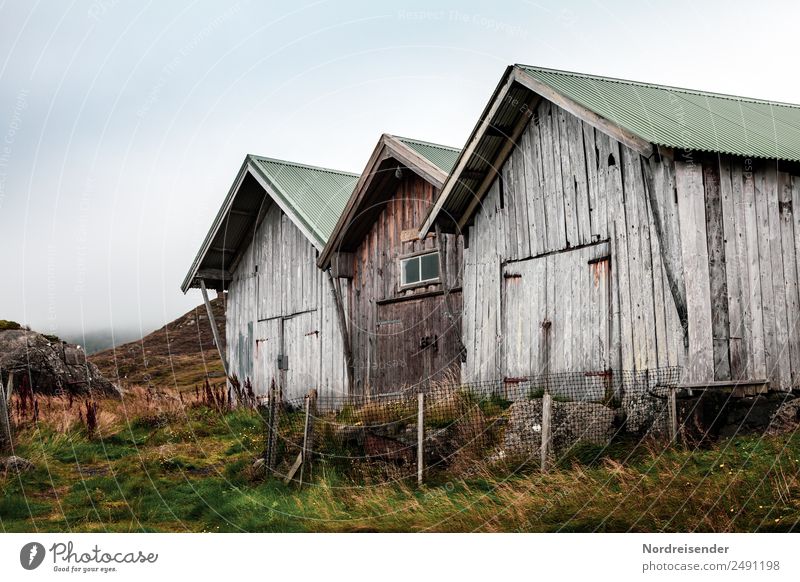 Alte Hütten im Regen Ausflug wandern Natur Landschaft Urelemente Sommer Herbst Klima Wetter schlechtes Wetter Gras Wiese Berge u. Gebirge Küste Haus Bauwerk