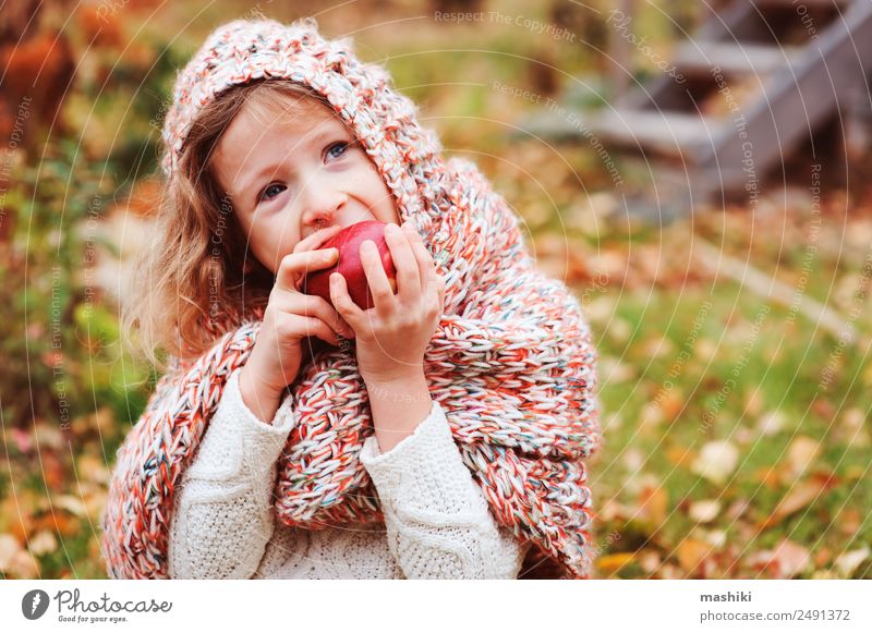 fröhlich lustiges Kind Mädchen isst frischen Apfel im Herbst Frucht Lifestyle Freude Spielen Garten Kindheit Natur Wärme Blatt Wald Schal Lächeln Fröhlichkeit