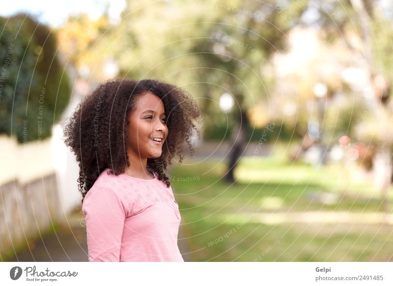 Hübsches Mädchen mit langem Afrohaar. Freude Glück schön Winter Kind Mensch Kleinkind Kindheit Natur Park Afro-Look Lächeln Fröhlichkeit klein niedlich schwarz