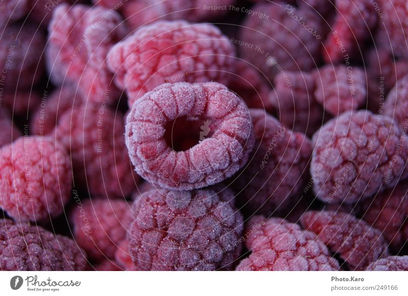 Himbeere Frucht Süßwaren kalt klein lecker niedlich violett rosa rot Farbfoto Nahaufnahme