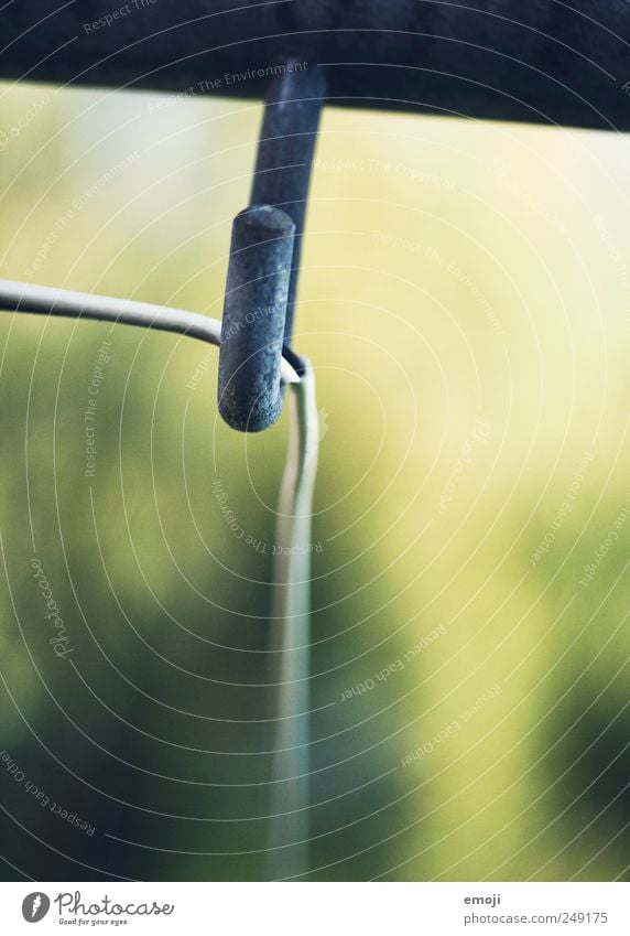 der Haken an der Sache Natur Sommer Grünpflanze Garten Wiese grün Wäscheleine Farbfoto Außenaufnahme Nahaufnahme Detailaufnahme Makroaufnahme Menschenleer