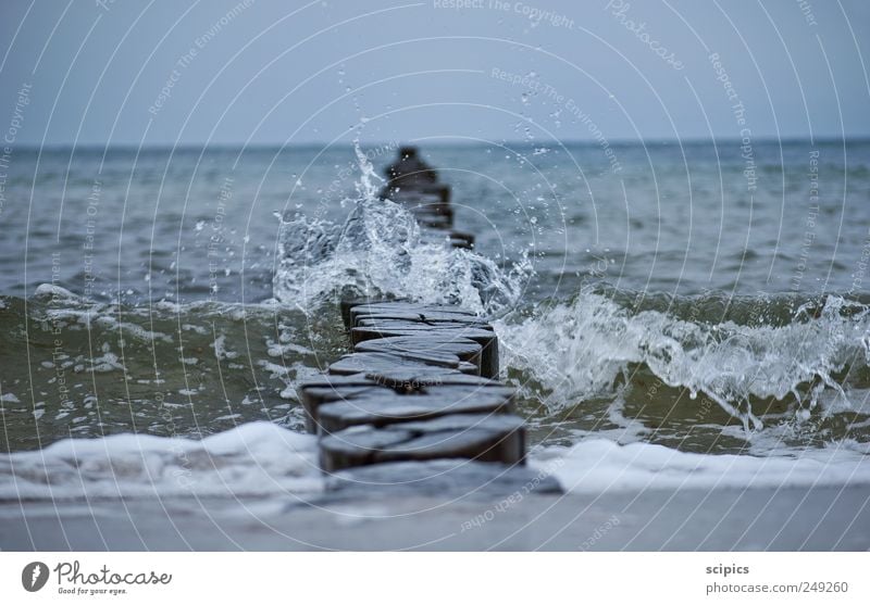 Wellenbrecher Natur Sand Luft Himmel Sommer Wetter schlechtes Wetter Sturm Küste Meer Ostsee Holz Wasser atmen Erholung frieren träumen Freundlichkeit