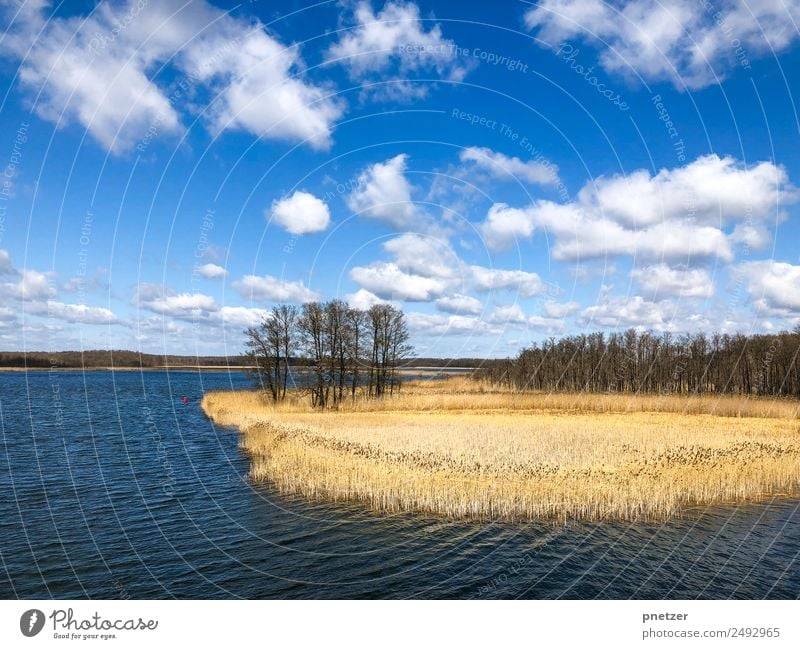 See Umwelt Natur Landschaft Pflanze Tier Urelemente Wasser Himmel Wolken Horizont Sonne Sommer Klima Klimawandel Wetter Schönes Wetter Baum Farn Wald Wellen