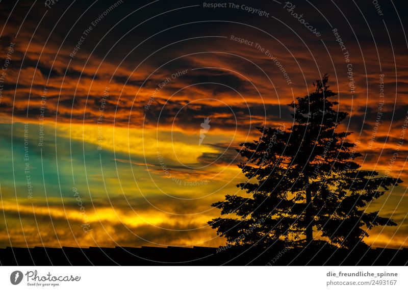 Sonnenuntergang über den Dächern der Stadt Natur Pflanze Luft Himmel Wolken Gewitterwolken Sonnenaufgang Sonnenlicht Sommer Schönes Wetter schlechtes Wetter