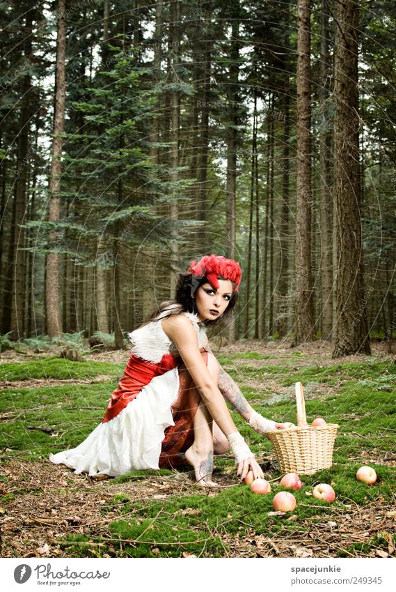 Fairytale Mensch feminin Junge Frau Jugendliche 1 18-30 Jahre Erwachsene Umwelt Natur Landschaft Pflanze Baum Gras Sträucher Moos beobachten berühren braun grün