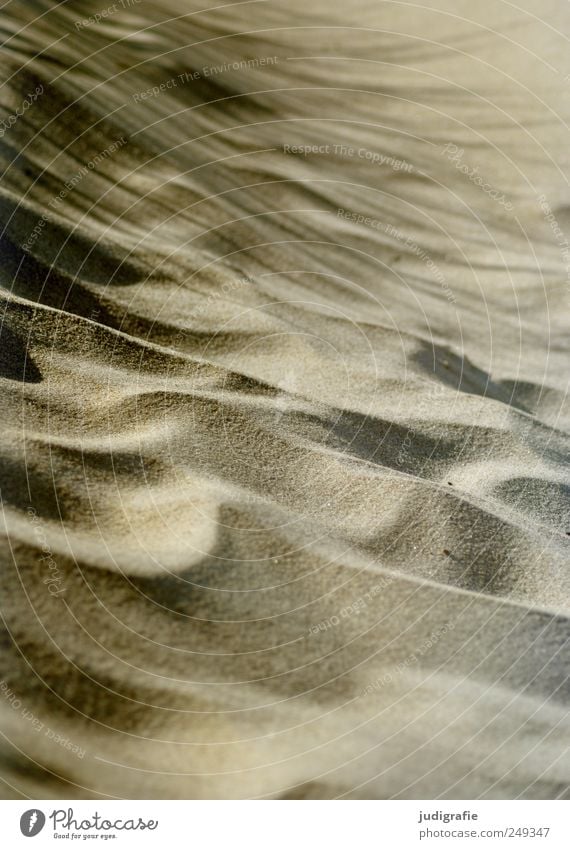 Strandform Umwelt Natur Landschaft Sand natürlich Wärme weich Farbfoto Gedeckte Farben Außenaufnahme Menschenleer Licht Schatten