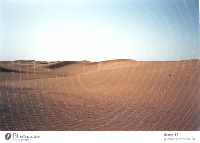 Brennend heißer Wüstensand.... Gras Scheich Physik fahren grün Ödland snad Autobahn strroute 66 Amerika Straße Linie desert Sonne Stranddüne Sand Wärme Farbe