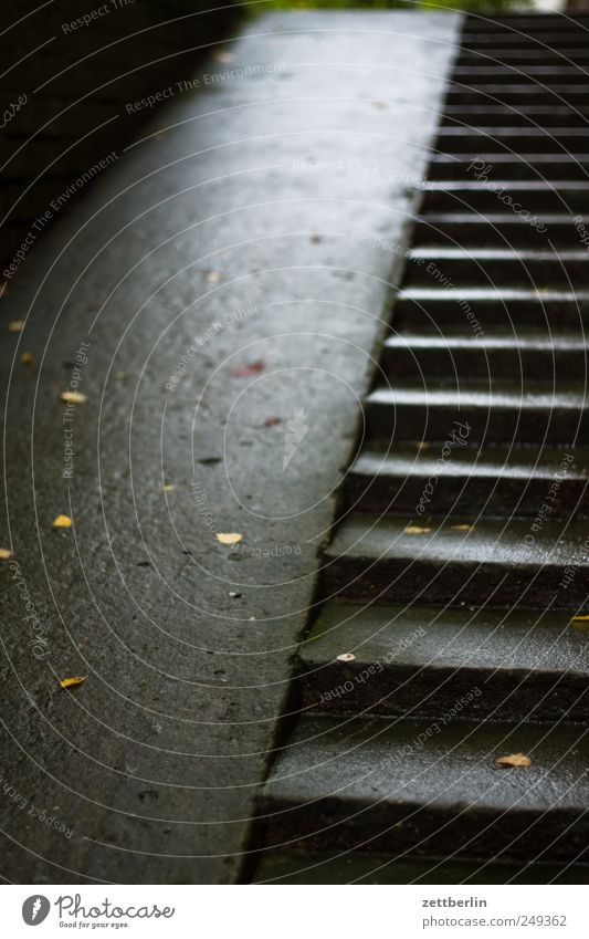 Treppe Karriere Haus Industrieanlage Bauwerk Gebäude Mauer Wand nass Abstieg aufsteigen aufwärts geneigt Kellertreppe schräg Behinderte Behindertengerecht Beton