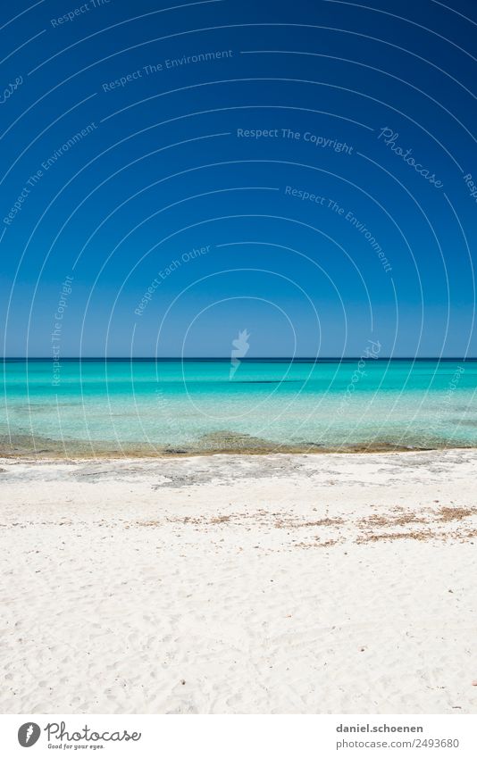 Sommerferien Ferien & Urlaub & Reisen Tourismus Ferne Sommerurlaub Sonne Sonnenbad Strand Meer Landschaft Wolkenloser Himmel Schönes Wetter Küste Mittelmeer