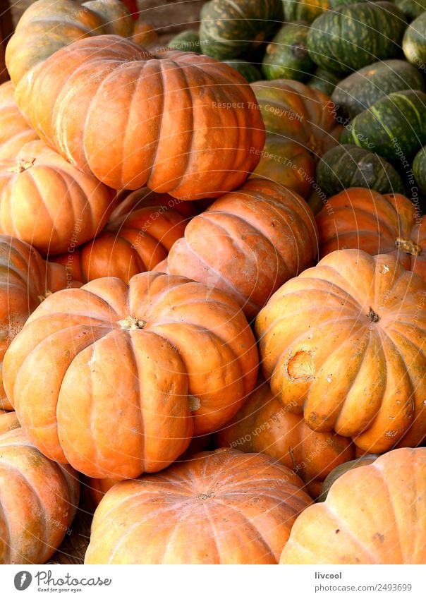 Kürbisse im Markt-Senegal Lebensmittel Frucht Ernährung Vegetarische Ernährung Diät kaufen Pflanze Nutzpflanze stehen grün orange Handel pflanzlich