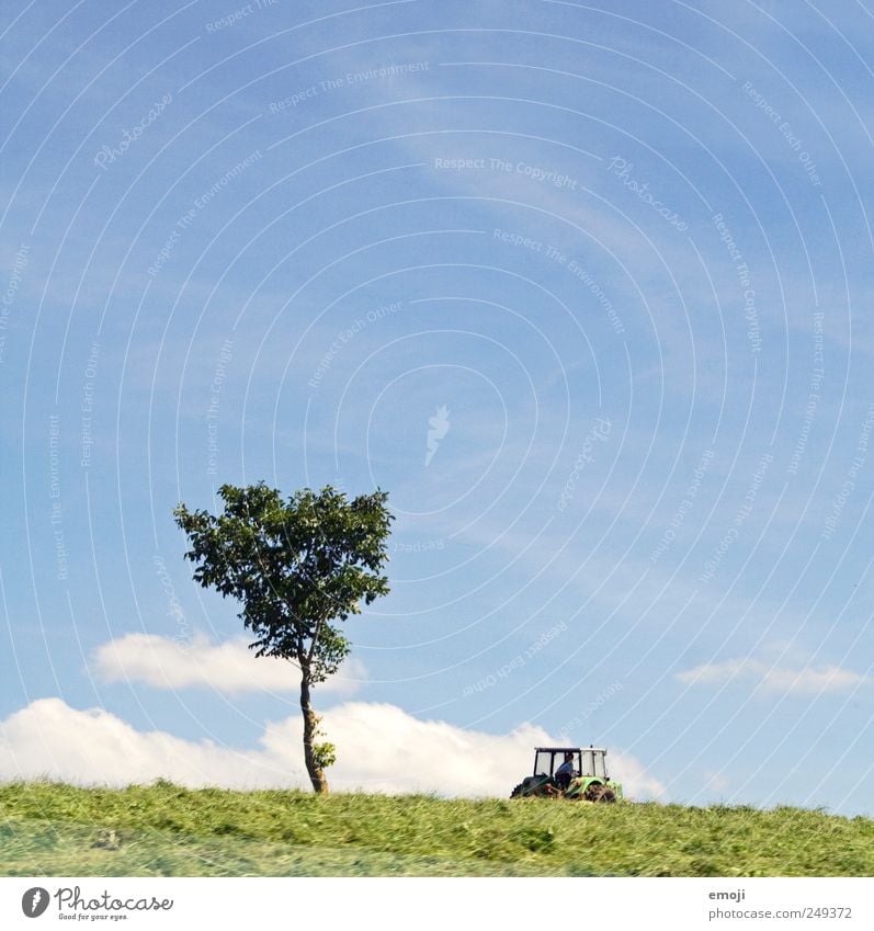 Brumm Brumm Landwirtschaft Forstwirtschaft Umwelt Natur Landschaft Himmel Sommer Baum Grünpflanze Feld natürlich blau grün Traktor Hügel Farbfoto Außenaufnahme