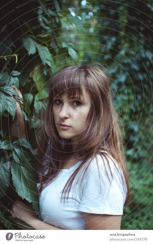 reh feminin Junge Frau Jugendliche Erwachsene 1 Mensch Umwelt Natur Pflanze Sträucher Grünpflanze Wald T-Shirt brünett langhaarig Pony berühren Denken entdecken