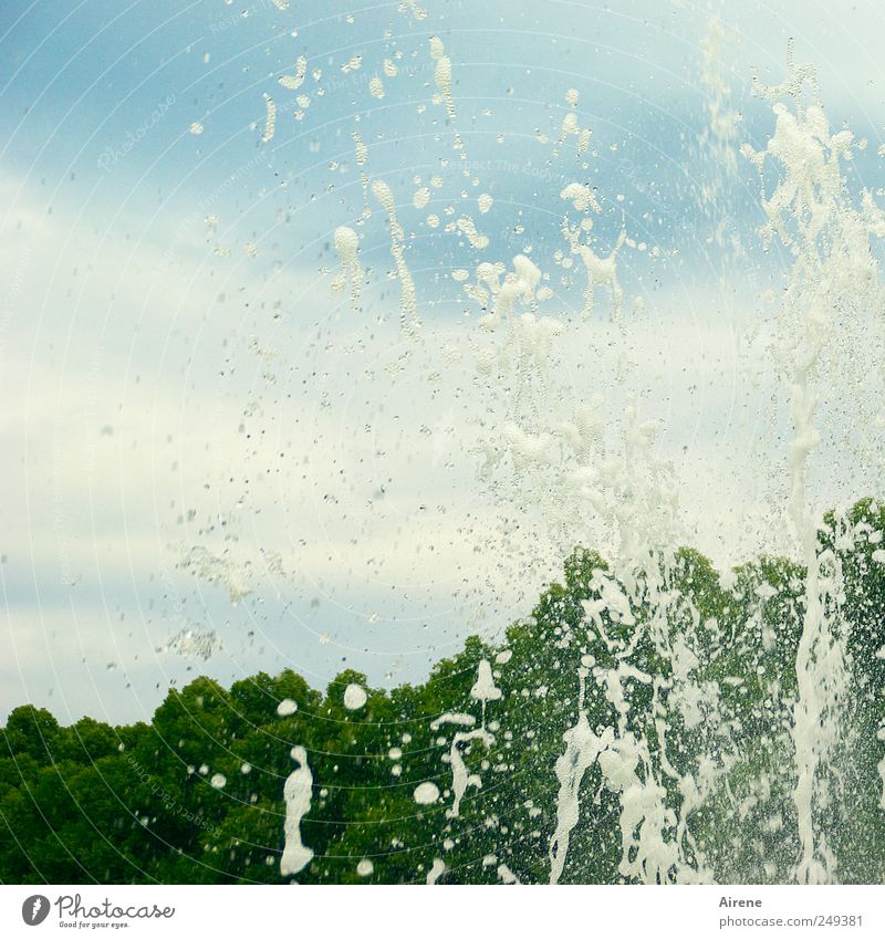 Die ungeheure Leichtigkeit von Wasser Natur Luft Wassertropfen Himmel Wolken Grünpflanze Park Wald Flüssigkeit frisch blau grün weiß Bewegung Schaum sprühen