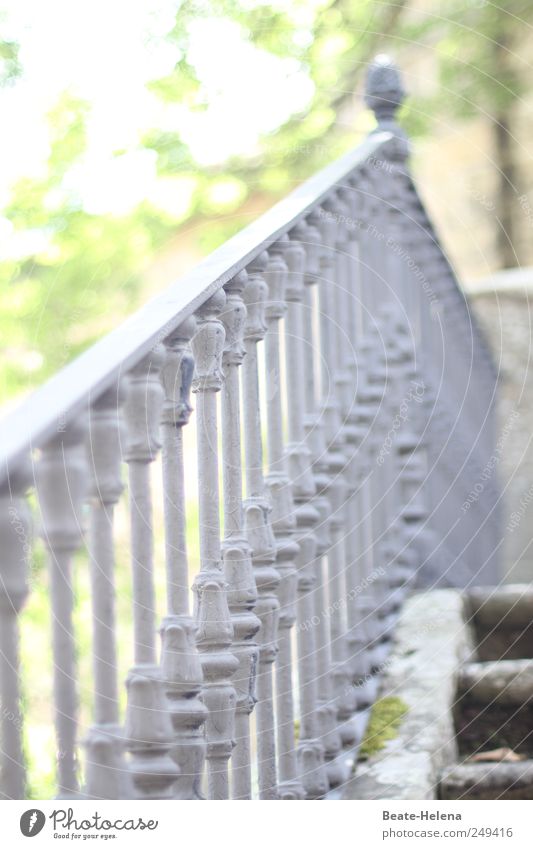 Ein direkter Weg nach oben Sommer Park Treppe Garten Stein Metall Bewegung entdecken gehen alt elegant grau grün Willensstärke Mut diszipliniert Ausdauer