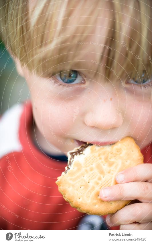 Totally awesome Lebensmittel Dessert Süßwaren Schokolade Mensch maskulin Kind Kindheit Kopf 1 3-8 Jahre 8-13 Jahre beobachten Essen schön Freiheit Keks blau