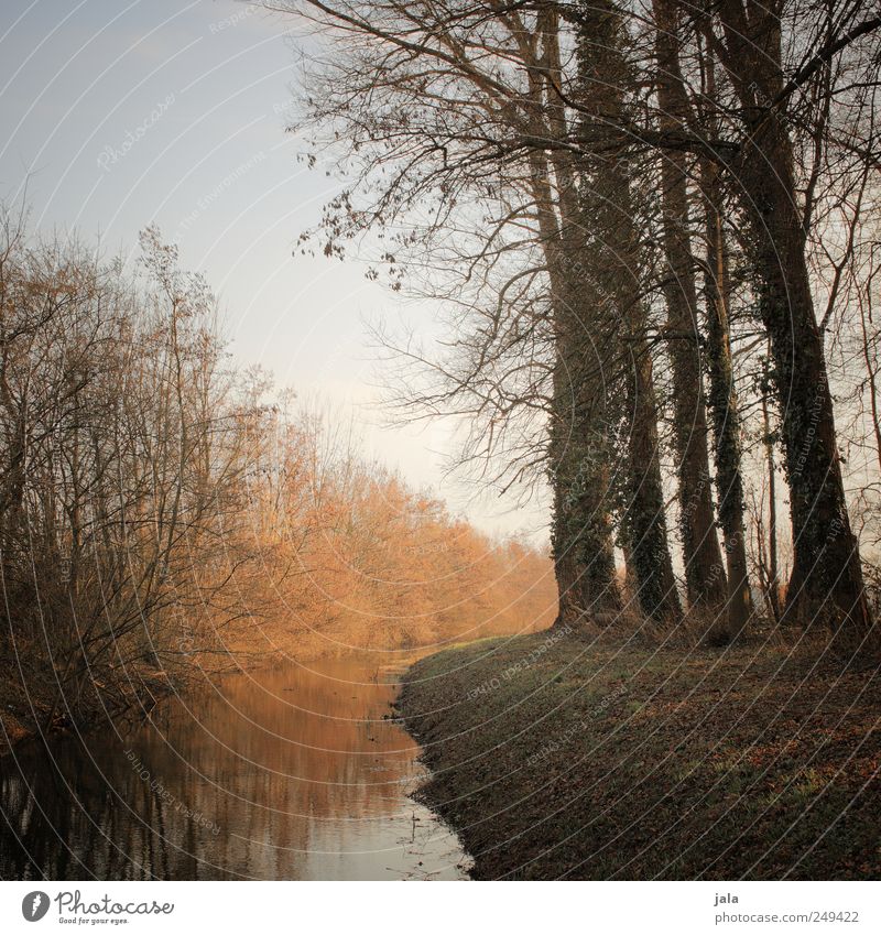 frühjahr Umwelt Natur Landschaft Himmel Pflanze Baum Gras Sträucher Bach natürlich Farbfoto Außenaufnahme Menschenleer Tag