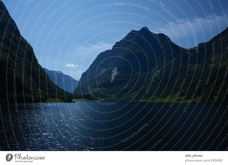 norwegischer Fjord Natur Landschaft Wasser Sommer Schönes Wetter Berge u. Gebirge Küste Meer schön blau Idylle ruhig Ferien & Urlaub & Reisen Norwegen