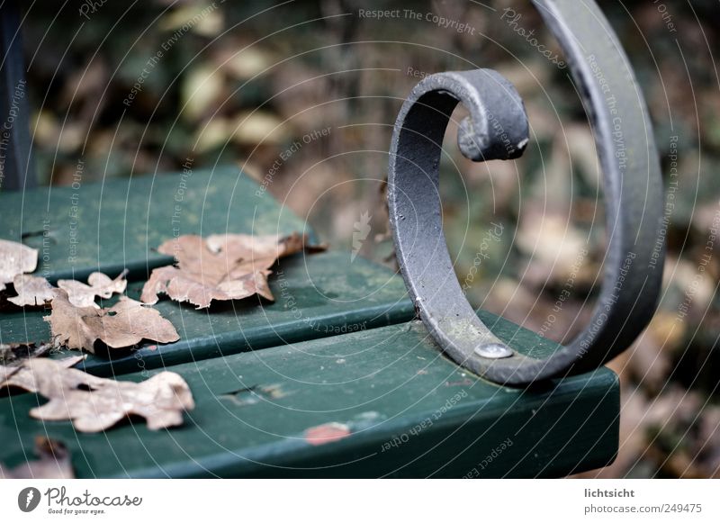 Herbstbank Wetter schlechtes Wetter Blatt Park Einsamkeit Trauer Traurigkeit Bank grün braun silber Schnörkel Holzbank feuchtkalt Abschied Herbstlaub herbstlich