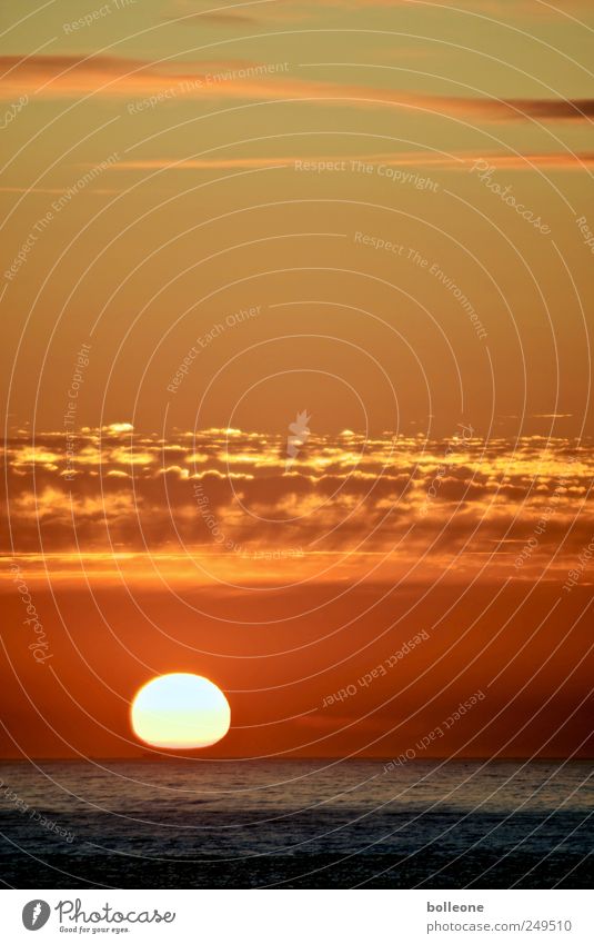 Der Untergang Umwelt Natur Urelemente Wasser Himmel Wolken Horizont Sonne Sonnenaufgang Sonnenuntergang Sonnenlicht Schönes Wetter Küste Nordsee Meer