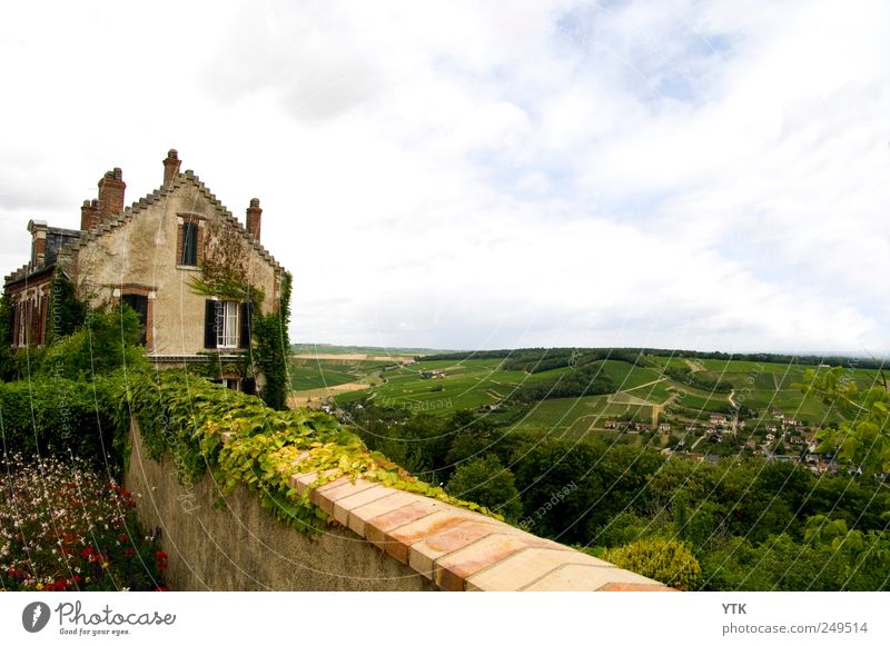 Der beste Blick im ganzen Dorf Umwelt Natur Landschaft Pflanze Himmel Wolken Horizont Sommer Wetter Blume Gras Stadtrand Haus Bauwerk Gebäude Mauer Wand Fenster