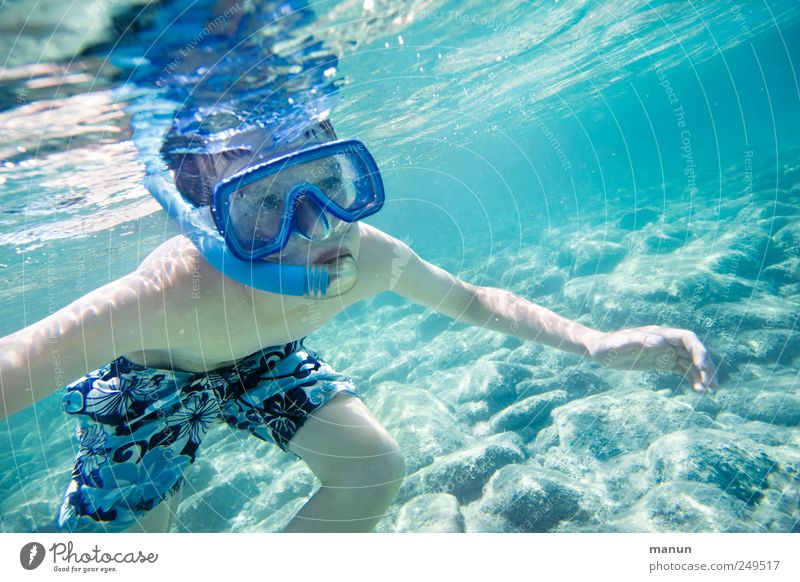 Amphibie Freizeit & Hobby Ferien & Urlaub & Reisen Wassersport Schwimmen & Baden tauchen Schnorcheln Mensch Kind Junge Kindheit Jugendliche Leben 1 Meer