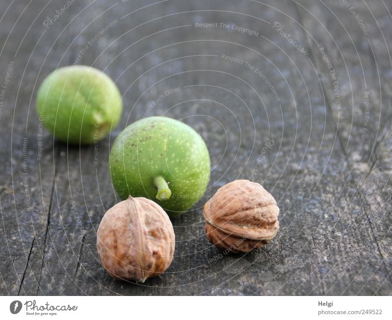 neue Ernte... Lebensmittel Frucht Nuss Walnuss Schalenfrucht Ernährung Bioprodukte Vegetarische Ernährung Tischplatte Holz liegen Wachstum ästhetisch