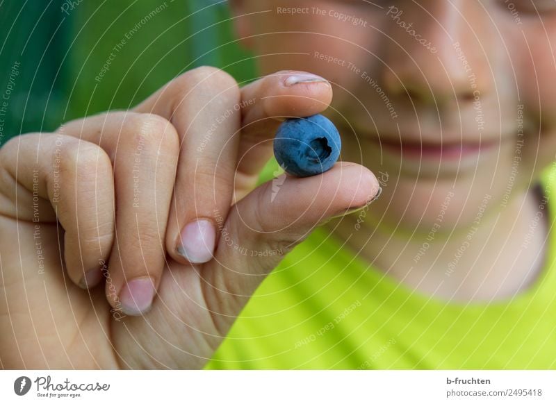 Leckere Heidelbeere Frucht Bioprodukte Kind Hand Finger Garten wählen festhalten frisch Gesundheit Blaubeeren zeigen lecker Süßwaren Beeren pflücken genießen