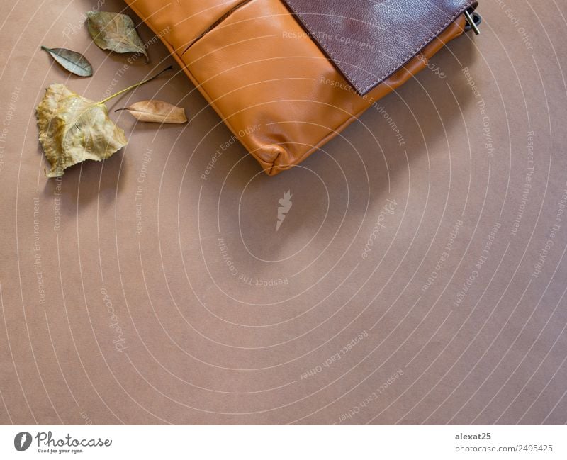 Herbsthintergrund auf Braun mit Kopierfläche Erntedankfest Natur Blatt Mode elegant Wärme braun gold Hintergrund Tasche Borte fallen flach Rahmen horizontal