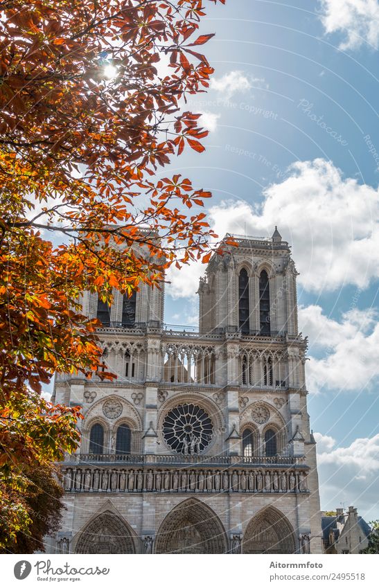 Notre Dame Kathedrale im Herbst Stil schön Ferien & Urlaub & Reisen Tourismus Sonne Kultur Landschaft Himmel Kirche Architektur Fassade Denkmal Stein alt