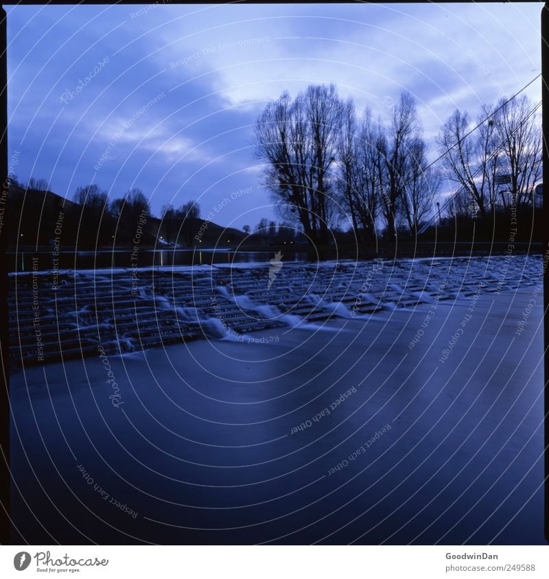 Abends. Umwelt Natur Wasser Wetter Schönes Wetter Park See Baum Treppe authentisch frei kalt nass natürlich schön blau Stimmung Farbfoto Außenaufnahme