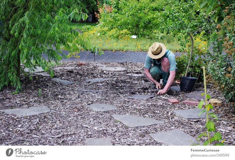 Gartenarbeit. Mensch maskulin Mann Erwachsene Arme 1 Natur Landschaft Pflanze Erde Sand Schönes Wetter Blume Sträucher Grünpflanze Wiese Park Wege & Pfade Duft