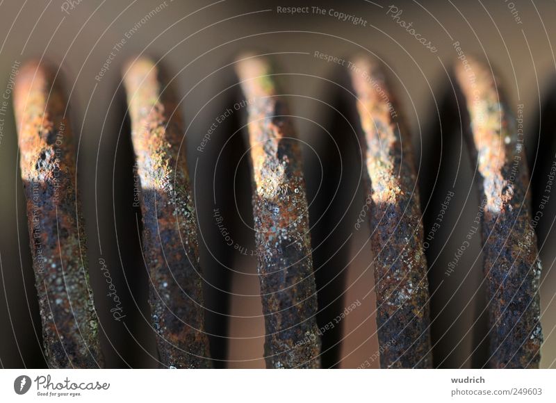 verwitterte Metallfeder Maschine Maschinenteil alt kaputt rund braun rot verbraucht weggeworfen Endzeitstimmung Wandel & Veränderung Wegwerfgesellschaft Windung