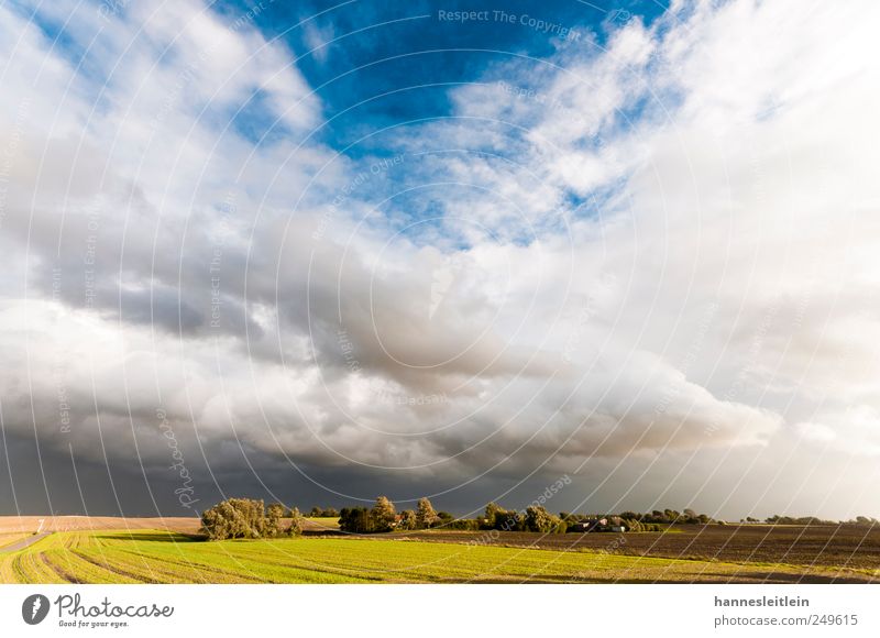 Wolkenbloß Ferien & Urlaub & Reisen Ferne Freiheit Haus Umwelt Natur Landschaft Herbst Schönes Wetter Wind Feld Dorf Menschenleer groß schön natürlich