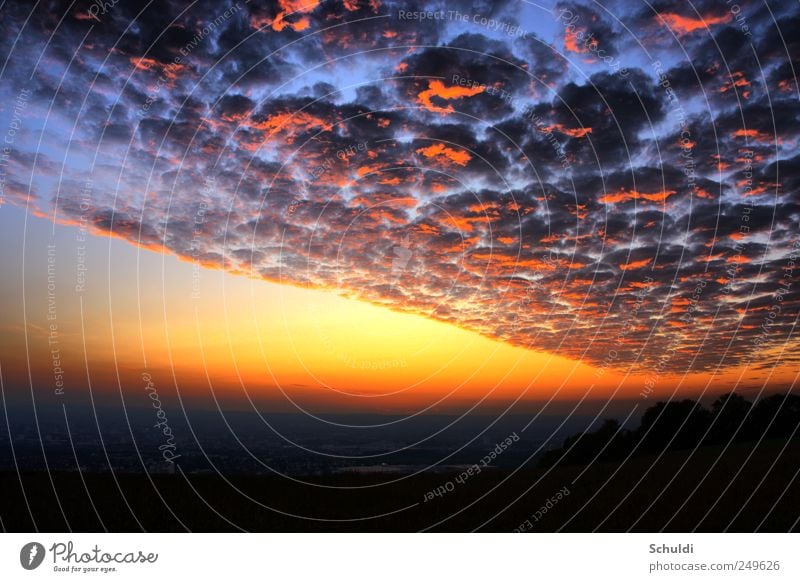 Wetterfront Landschaft Himmel Wolken Sonnenaufgang Sonnenuntergang Feld schön Farbfoto Außenaufnahme Menschenleer Abend