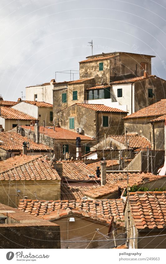 über den Dächern von.... Ferien & Urlaub & Reisen Tourismus Ausflug Ferne Städtereise Sommerurlaub Häusliches Leben Wohnung Haus Schönes Wetter Rio nell' Elba