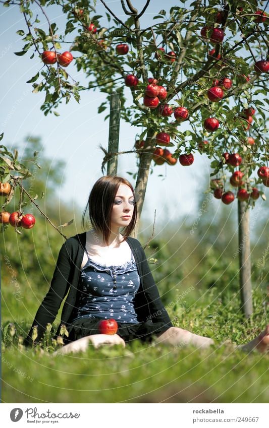 über den sieben bergen. Umwelt Natur Pflanze Baum Garten Park Wiese schwarzhaarig brünett langhaarig sitzen träumen ästhetisch schön einzigartig Freude Glück