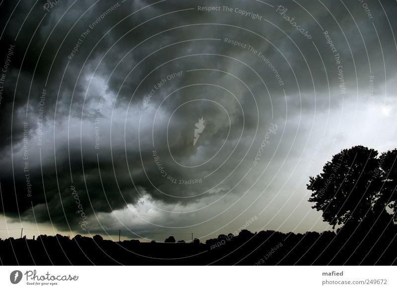 Der Untergang Möwistans Natur Landschaft Himmel Wolken Gewitterwolken Sommer Klima Klimawandel Wetter schlechtes Wetter Unwetter Sturm Regen Baum Feld