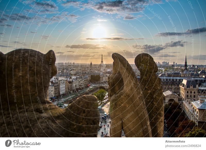 Gargoyle auf Notre Dame in Paris Stil Ferien & Urlaub & Reisen Tourismus Sightseeing Sommer Haus Landschaft Himmel Stadt Architektur Straße Stein alt historisch