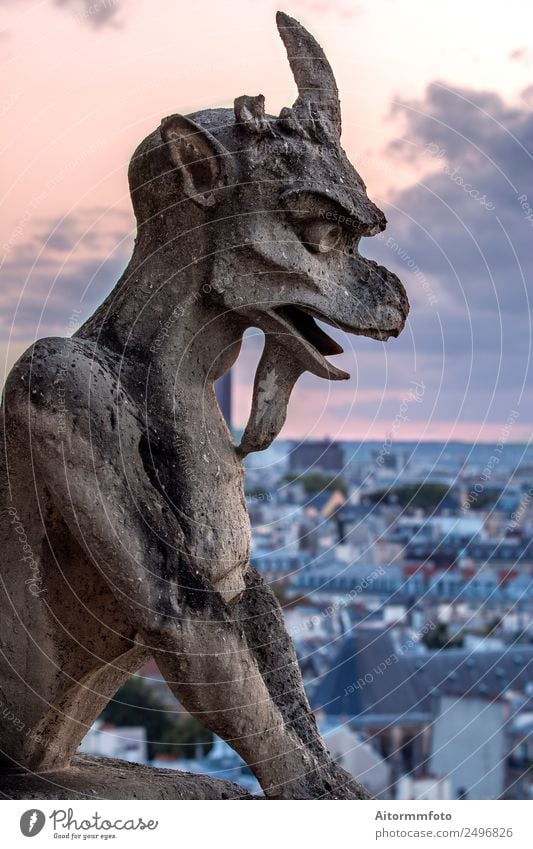 Gargoyle auf Notre Dame In Paris bei Sonnenuntergang Stil Tourismus Sightseeing Dekoration & Verzierung Kunst Kultur Himmel Skyline Architektur Balkon Stein alt