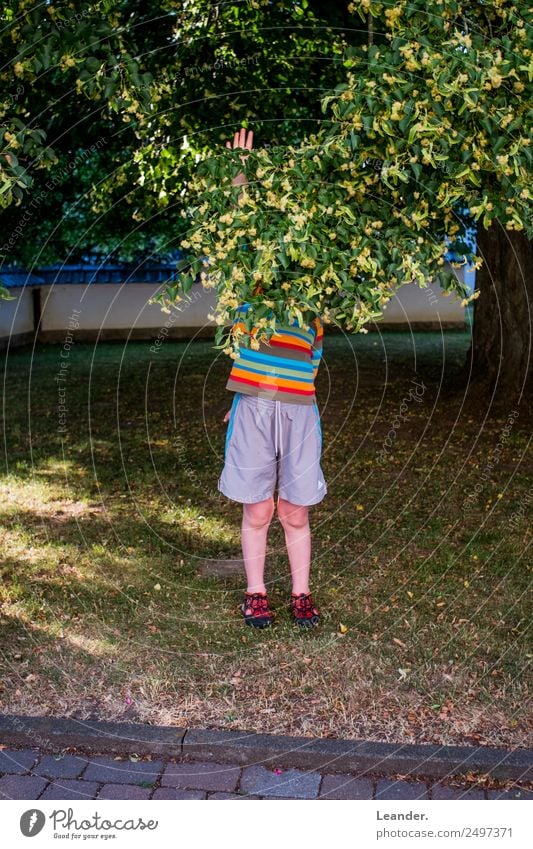 Halt Stopp Mensch maskulin Kind Kleinkind Junge 1 3-8 Jahre Kindheit 8-13 Jahre festhalten protestieren Natur Glück Spielen Freizeit & Hobby regenbogenfarben