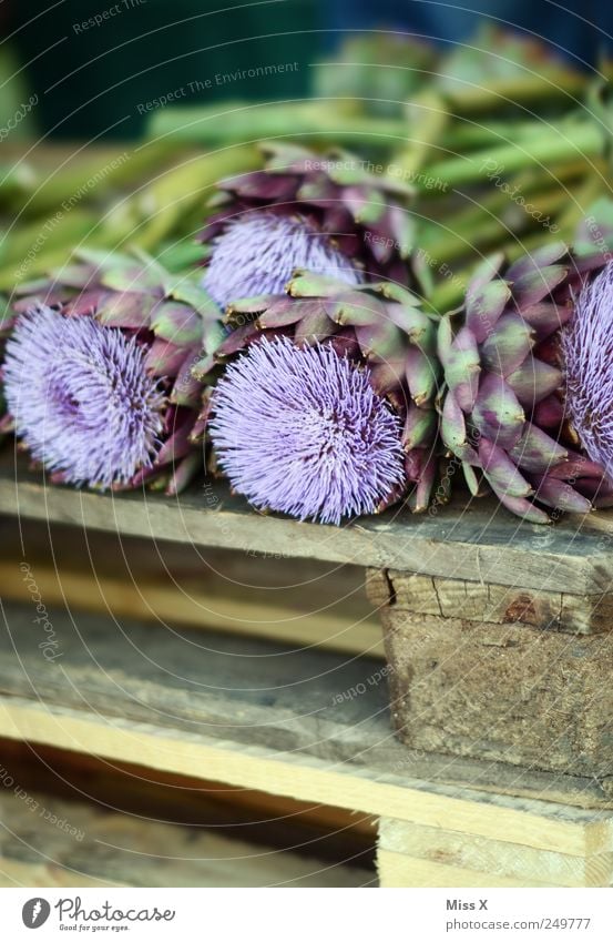 Artischocke Gemüse Pflanze Blume Blatt Blüte exotisch stachelig violett Paletten Blumenladen Blumenhändler Wochenmarkt Marktstand Distelblüte Farbfoto