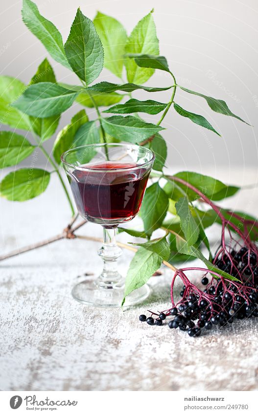 Holunder Frucht holunder Holunderbeeren Bioprodukte Vegetarische Ernährung Getränk Erfrischungsgetränk Saft Holundersaft Glas Pflanze Sträucher Nutzpflanze