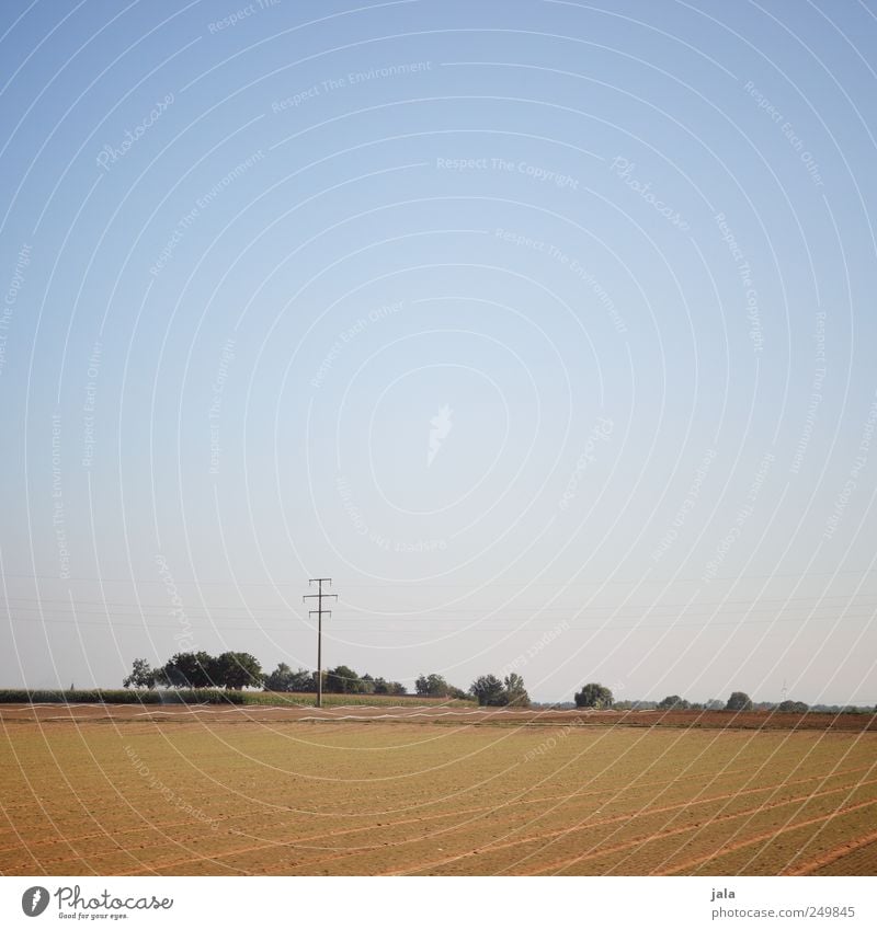 spätsommer Umwelt Natur Landschaft Himmel Pflanze Baum Gras Feld Unendlichkeit natürlich blau braun grün Farbfoto Außenaufnahme Menschenleer Textfreiraum oben