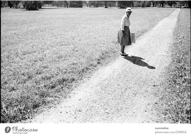 junger Mann . . . Mensch Frau Erwachsene Weiblicher Senior Leben 1 60 und älter Kunst Sommer Schönes Wetter Park Wiese alt genießen laufen wandern