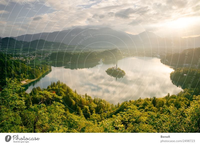 Bleder See mit Marienkirche in Slowenien im Morgenlicht Ferien & Urlaub & Reisen Tourismus Ausflug Ferne Sightseeing Sommer Sommerurlaub Sonne Natur Landschaft