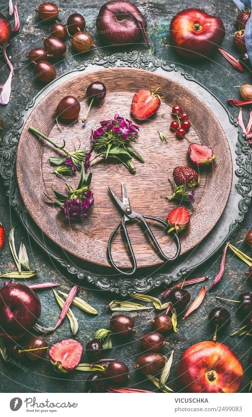 Sommer Obst aus Garten Lebensmittel Frucht Ernährung Bioprodukte Vegetarische Ernährung Diät Stil Gesunde Ernährung Häusliches Leben Küche Design seasonal